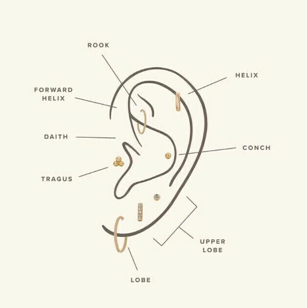 Labret Zircon Snake (Unidad)